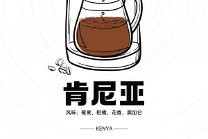每天认识一款咖啡之肯尼亚