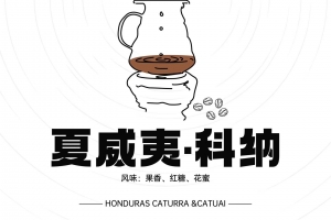 每天认识一款咖啡之夏威夷科纳