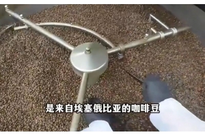 沉浸式体验日产5吨的咖啡豆工厂