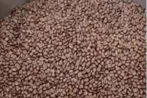 沉浸式烘焙花魁SOE咖啡豆