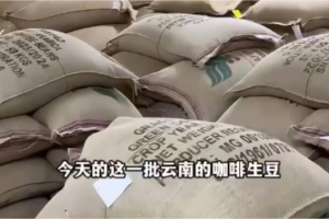 搬咖啡豆啦，今天新到20吨云南咖啡豆！