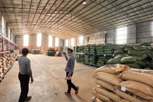 【中华网】从联建庄园到咖啡烘焙工厂，远淳咖啡如何助力中国咖啡？