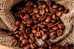 今天新到10吨咖啡生豆