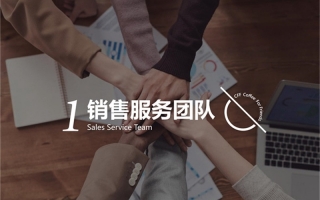 专业服务与研发